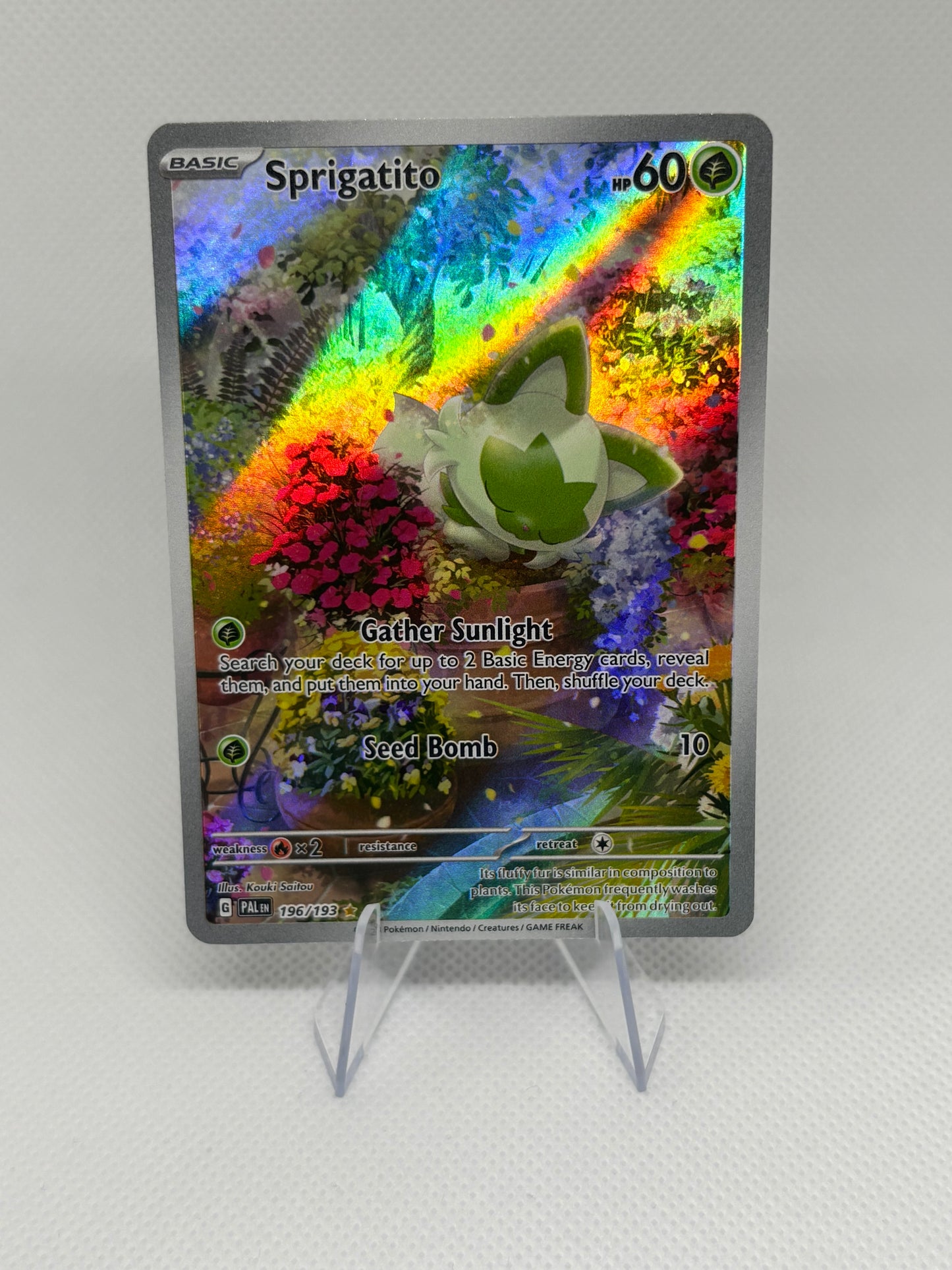 Sprigatito #196 Pokemon Paldea Evolved